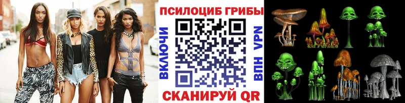 где купить   нарко площадка как зайти  Псилоцибиновые грибы Psilocybe  Лахденпохья 